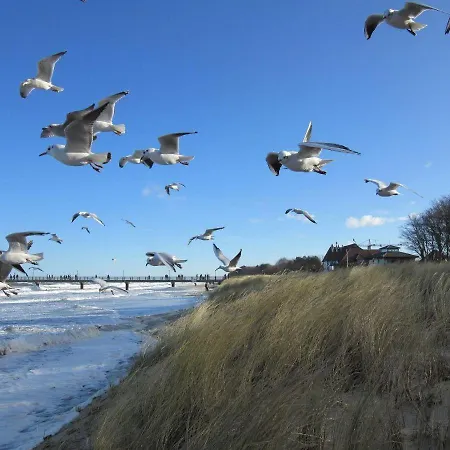 Apartment Ostseetraum-im-ferienhaus-flair-am-meer